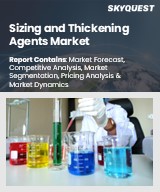 Global Sizing and Thickening Agents Market