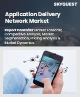 Global Application Delivery Network Market