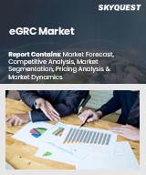 Global eGRC Market