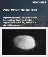 Global Zinc Chloride Market