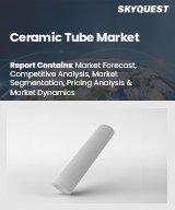Global Ceramic Tube Market