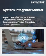 Global System Integrator Market
