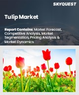 Tulip Market