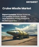 Global Cruise Missile Market