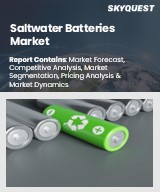 Global Saltwater Batteries Market