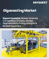 Global Gigacasting Market
