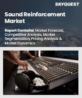 Global Sound Reinforcement Market
