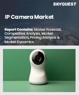 Global IP Camera Market