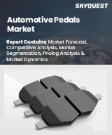 Automotive Pedals Market