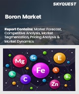 Boron Market