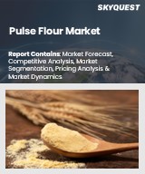 Pulse Flour Market