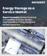 Energy Storage as a Service Market