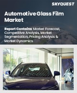 Global Automotive Glass Film Market