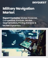Military Navigation Market