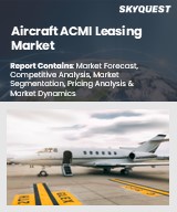 Global Aircraft ACMI Leasing Market