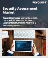 Global Security Assessment Market