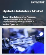 Global Hydrate Inhibitors Market