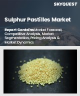 Global Sulphur Pastilles Market