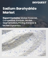 Global Sodium Borohydride Market