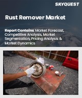 Global Rust Remover Market