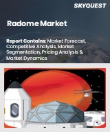 Radome Market