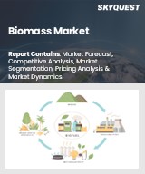 Global Biomass Market