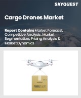 Global Cargo Drones Market