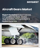 Global Aircraft Gears Market