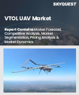 VTOL UAV Market