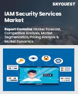 IAM Security Services Market
