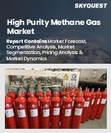 Global High Purity Methane Gas Market