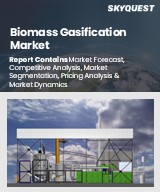 Global Biomass Gasification Market