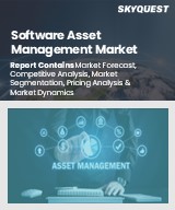 Global Software Asset Management Market