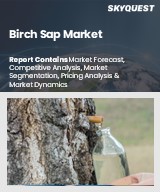 Global Birch Sap Market