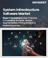Global System Infrastructure Software Market