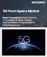 Global 5G From Space Market