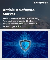 Global Antivirus Software Market
