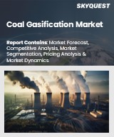 Global Coal Gasification Market