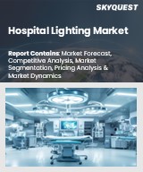 Global Hospital Lighting Market