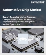 Global Automotive Chip Market