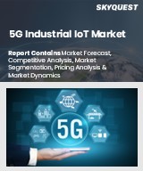 Global 5G Industrial IoT Market