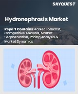 Global Hydronephrosis Market