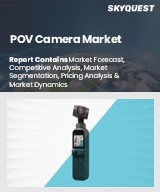 Global POV Camera Market