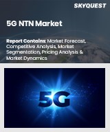 Global 5G NTN Market