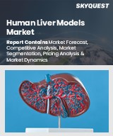 Global Human Liver Models Market