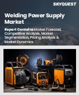 Global Welding Power Supply Market