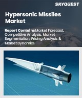 Global Hypersonic Missiles Market