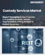 Global Custody Services Market