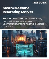 Global Steam Methane Reforming Market