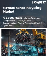 Global Ferrous Scrap Recycling Market